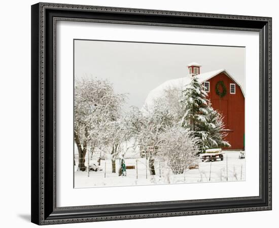 Red Barn in Fresh Snow, Whidbey Island, Washington, USA-Trish Drury-Framed Photographic Print