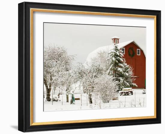 Red Barn in Fresh Snow, Whidbey Island, Washington, USA-Trish Drury-Framed Photographic Print