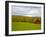 Red Barn in Green Field in Autumn-Lew Robertson-Framed Photographic Print