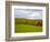 Red Barn in Green Field in Autumn-Lew Robertson-Framed Photographic Print