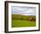 Red Barn in Green Field in Autumn-Lew Robertson-Framed Photographic Print