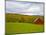 Red Barn in Green Field in Autumn-Lew Robertson-Mounted Photographic Print