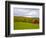 Red Barn in Green Field in Autumn-Lew Robertson-Framed Photographic Print