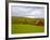 Red Barn in Green Field in Autumn-Lew Robertson-Framed Photographic Print