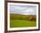 Red Barn in Green Field in Autumn-Lew Robertson-Framed Photographic Print