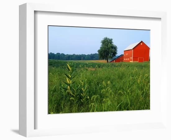 Red Barn in Green Field-Bruce Burkhardt-Framed Photographic Print