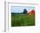 Red Barn in Green Field-Bruce Burkhardt-Framed Photographic Print