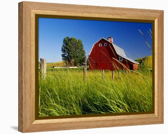 Red Barn in Long Grass-Bob Krist-Framed Premier Image Canvas