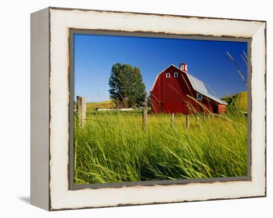 Red Barn in Long Grass-Bob Krist-Framed Premier Image Canvas