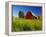 Red Barn in Long Grass-Bob Krist-Framed Premier Image Canvas