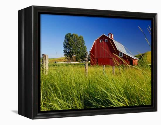 Red Barn in Long Grass-Bob Krist-Framed Premier Image Canvas