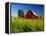 Red Barn in Long Grass-Bob Krist-Framed Premier Image Canvas