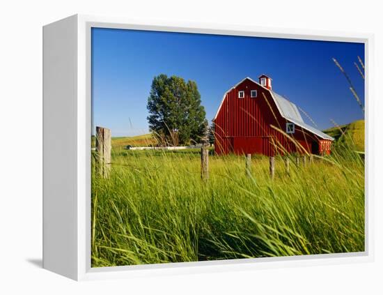 Red Barn in Long Grass-Bob Krist-Framed Premier Image Canvas