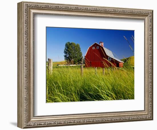 Red Barn in Long Grass-Bob Krist-Framed Photographic Print