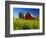 Red Barn in Long Grass-Bob Krist-Framed Photographic Print