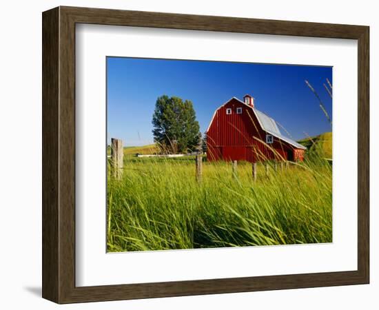 Red Barn in Long Grass-Bob Krist-Framed Photographic Print