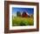 Red Barn in Long Grass-Bob Krist-Framed Photographic Print