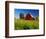 Red Barn in Long Grass-Bob Krist-Framed Photographic Print