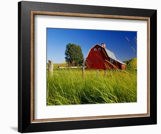 Red Barn in Long Grass-Bob Krist-Framed Photographic Print