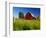 Red Barn in Long Grass-Bob Krist-Framed Photographic Print