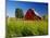 Red Barn in Long Grass-Bob Krist-Mounted Photographic Print