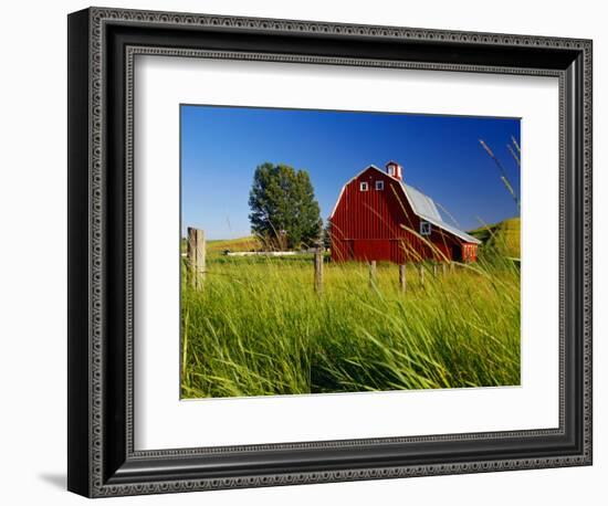 Red Barn in Long Grass-Bob Krist-Framed Photographic Print