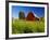 Red Barn in Long Grass-Bob Krist-Framed Photographic Print