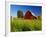 Red Barn in Long Grass-Bob Krist-Framed Photographic Print