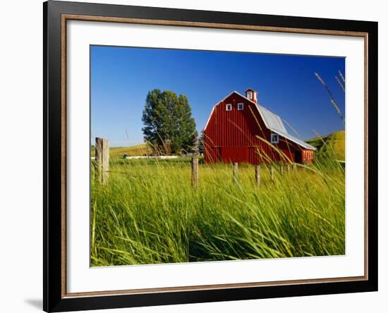 Red Barn in Long Grass-Bob Krist-Framed Photographic Print