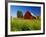 Red Barn in Long Grass-Bob Krist-Framed Photographic Print