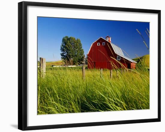 Red Barn in Long Grass-Bob Krist-Framed Photographic Print