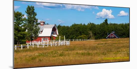 Red barn in meadow, Knowlton, Quebec, Canada-null-Mounted Photographic Print