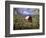 Red Barn in Pear Orchard, Mt. Hood, Hood River County, Oregon, USA-Julie Eggers-Framed Photographic Print