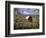 Red Barn in Pear Orchard, Mt. Hood, Hood River County, Oregon, USA-Julie Eggers-Framed Photographic Print