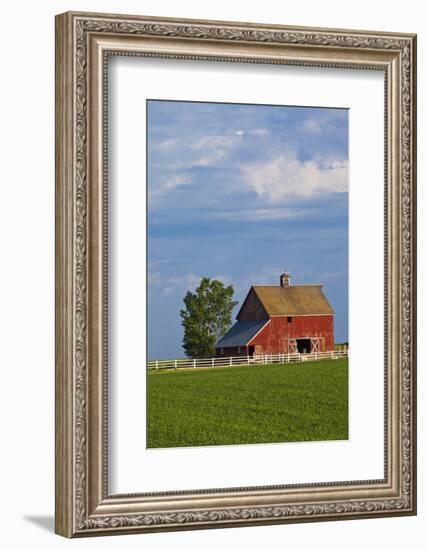 Red Barn in Spring Wheat Field, Washington, USA-Terry Eggers-Framed Photographic Print