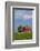 Red Barn in Spring Wheat Field, Washington, USA-Terry Eggers-Framed Photographic Print