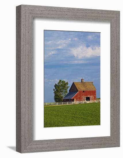 Red Barn in Spring Wheat Field, Washington, USA-Terry Eggers-Framed Photographic Print