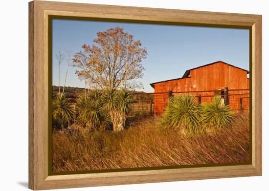 Red Barn in Texas Hill Country, USA-Larry Ditto-Framed Premier Image Canvas