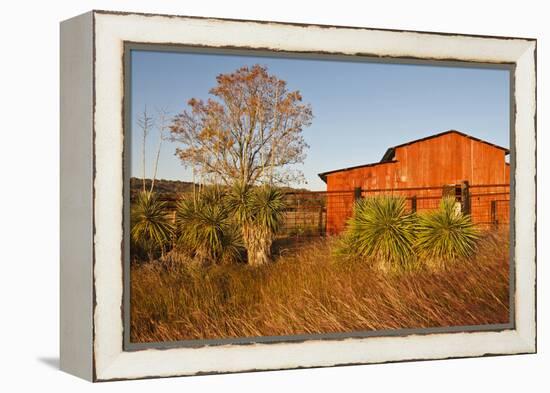 Red Barn in Texas Hill Country, USA-Larry Ditto-Framed Premier Image Canvas