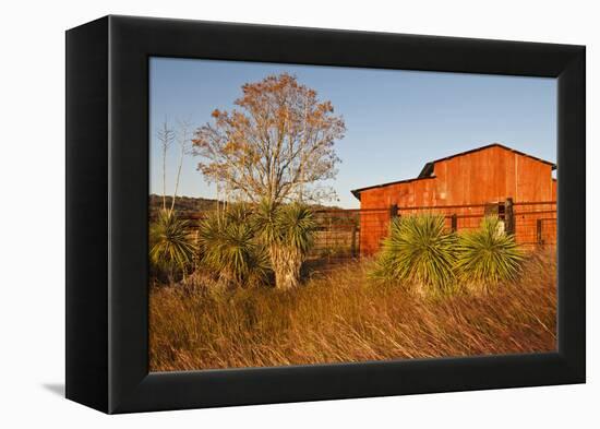 Red Barn in Texas Hill Country, USA-Larry Ditto-Framed Premier Image Canvas