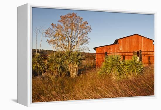 Red Barn in Texas Hill Country, USA-Larry Ditto-Framed Premier Image Canvas