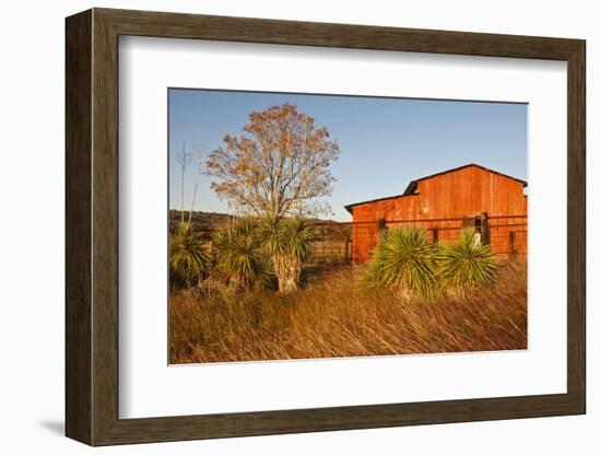 Red Barn in Texas Hill Country, USA-Larry Ditto-Framed Photographic Print