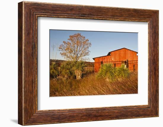 Red Barn in Texas Hill Country, USA-Larry Ditto-Framed Photographic Print