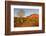 Red Barn in Texas Hill Country, USA-Larry Ditto-Framed Photographic Print