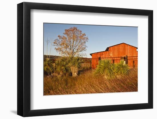 Red Barn in Texas Hill Country, USA-Larry Ditto-Framed Photographic Print