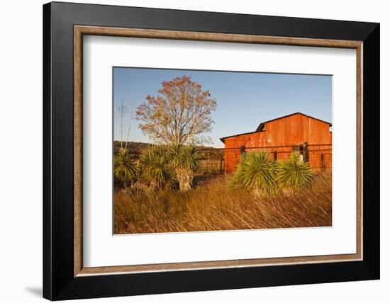 Red Barn in Texas Hill Country, USA-Larry Ditto-Framed Photographic Print