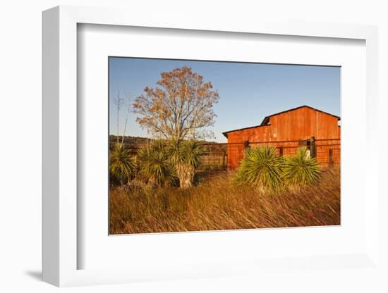 Red Barn in Texas Hill Country, USA-Larry Ditto-Framed Photographic Print