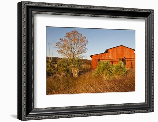 Red Barn in Texas Hill Country, USA-Larry Ditto-Framed Photographic Print