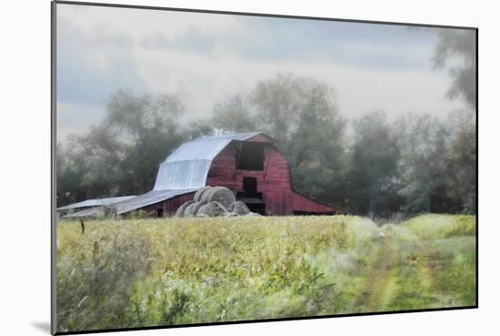 Red Barn in the Fog-Jai Johnson-Mounted Giclee Print