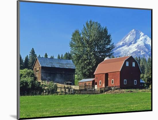 Red Barn in the Hood Valley, Mt Hood, Oregon, USA-Chuck Haney-Mounted Photographic Print